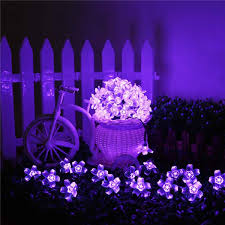 Light Up Your Garden With Solar Landscape Lights