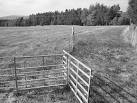 Lightweight alloy hurdles like these have made a big difference to sheep - via Daymix