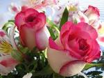 Beautiful Pictures Beautiful-Flowers-HD-Wallpapers-Desktop-flowers ...