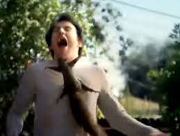 attacking squirrel