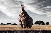  funny pictures of people