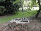 What is the collective name for such a group of pine cones? - via Daymix