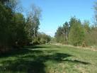 Grassy ride, Aunt's Pool Hill. In the middle of the Aldershot pine forest. - via Daymix