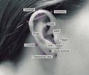 your-body-is-a-canvas: Ear piercing... - dead daughter confetti
