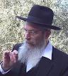 ערך זה עוסק ברב ישראל אריאל