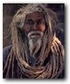Dreadlocks