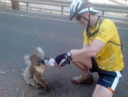 images?qtbnANd9GcToN F7jeMwulb7Xesr8gMoYSDdlL0sreod5EQg00MQ9qTZVbMr&ampt1