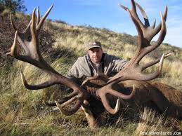 Deer Hunting