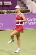 Elena Dementieva Picture 0