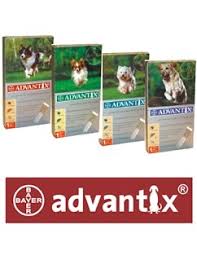 Advantix nuo blusų ir erkių