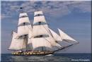 The Griffin -- Privateer Brig
