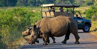 Africa Safari Tour