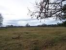 the square kilometre is - via Daymix