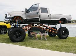 external image images?q=tbn:ANd9GcToyDAeDQXUR52yOJx0nxj2BJr9Fgbf_wcZRwJrEmt1QMdGb1-f