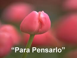 reflexiones