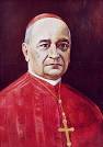 Il Cardinale Domenico Jorio