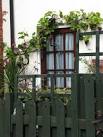 Vines laden with nearly ripe blue grapes growing on a cottage wall. - via Daymix