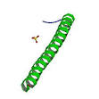<b>Adenomatous polyposis coli</b>