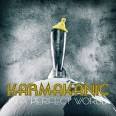 Amazon.com: In a Perfect World: Karmakanic: Music