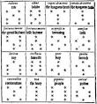 Astrological Geomancy
