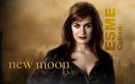 Esme Cullen Wallpaper - Esme Cullen Wallpaper (7307400) - Fanpop