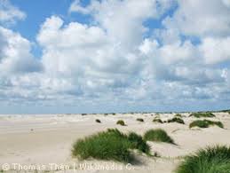 nordfriesland-amrum-strand-kniepsand-wik-thomas-then.jpg