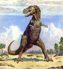 images?q=tbn:ANd9GcTq0uDpTeS6KJ8oa6g4Vq0I8zQYbiR185KjqVkNH1XXw0WQT3eW