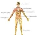 The Machine called the Human Body  Introduction