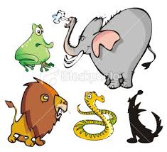 ¿Cuantos animales hay?