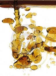 external image images?q=tbn:ANd9GcTqA7W2_MhEDSiPfhpAjD9ze6HMnGie338DucM5zqo1lz0ZXCCQ&t=1