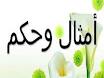http://t1.gstatic.com/images?q=tbn:ANd9GcTqRvYCod9YoI_fGb2AM9-gmz6r0_cVYsWYaUT98Qh-UhRNB90vg-j4RA