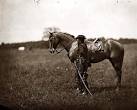 War Horse
