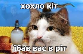 images?q=tbn:ANd9GcTqbe8EkcyQ1TtPfvG6U7sFkgghc5XXcZKi4HtefVINJtp_5f3h