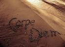 Mise En Place: Carpe Diem this Holiday Season!