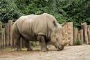 Louisville Zoological Garden - Louisville, Kentucky - large ...