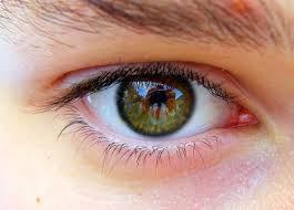 Human Eye and Digital Camera