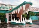 Gatorland Orlando – Alligator Capital of the World in Orlando ...