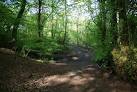 Footpath in Hardy Wood. This is right at the top end of the wood, - via Daymix
