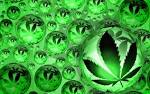 Imagenes De Marihuana