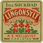 <b>kärlröntgen</b> av hjärnan,