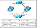 CCNA 3 Chapter 5 V4.0 Answers | CCNA Answers - CCNA Exam - CCNA Exams
