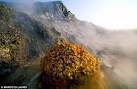 Vesuvius's big daddy supervolcano Campi Flegrei near Naples ...