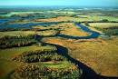 Stormwater Guidance for Coastal Plains | Chesapeake Stormwater Network