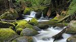 Australian <b>Nature</b>