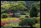Picture/Photo: Annual flowers and trees in Sunken Garden. Butchart ...