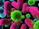 Infectious Disease