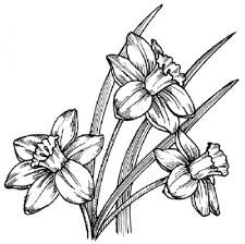 صور مرسومه بقلم رصاص رائعه