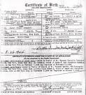 Free Adoption Records: Open the Secrets in New York - part 1