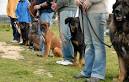 Guard Dog Training Tips