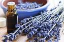 Lavender Essential Oil
